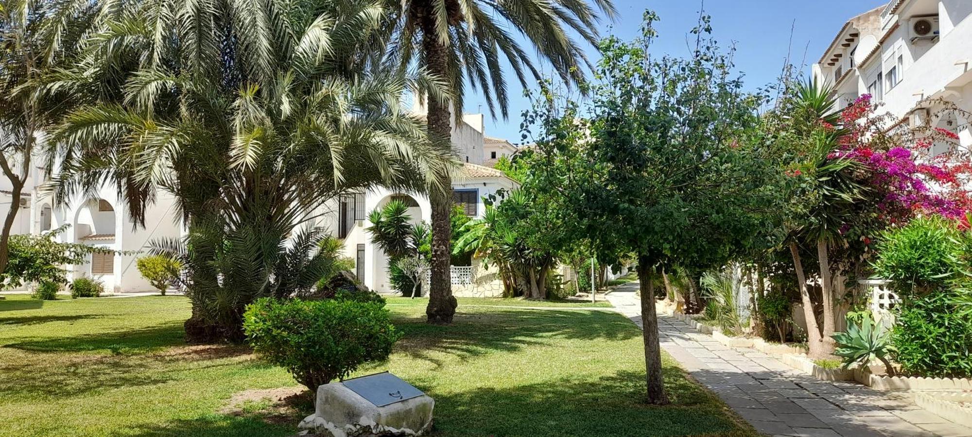 Apartment Los Locos Beach With Balcony And Wi-Fi Torrevieja Bagian luar foto
